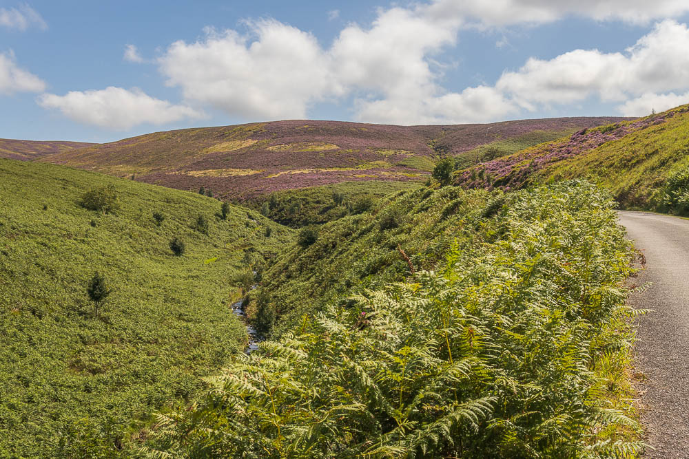 Goyt Valley Goyt Valley